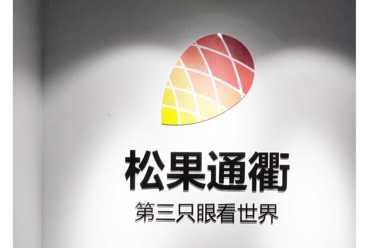 计算机软硬件及辅助设备技术开发,技术咨询,技术服务;网站建设;企业